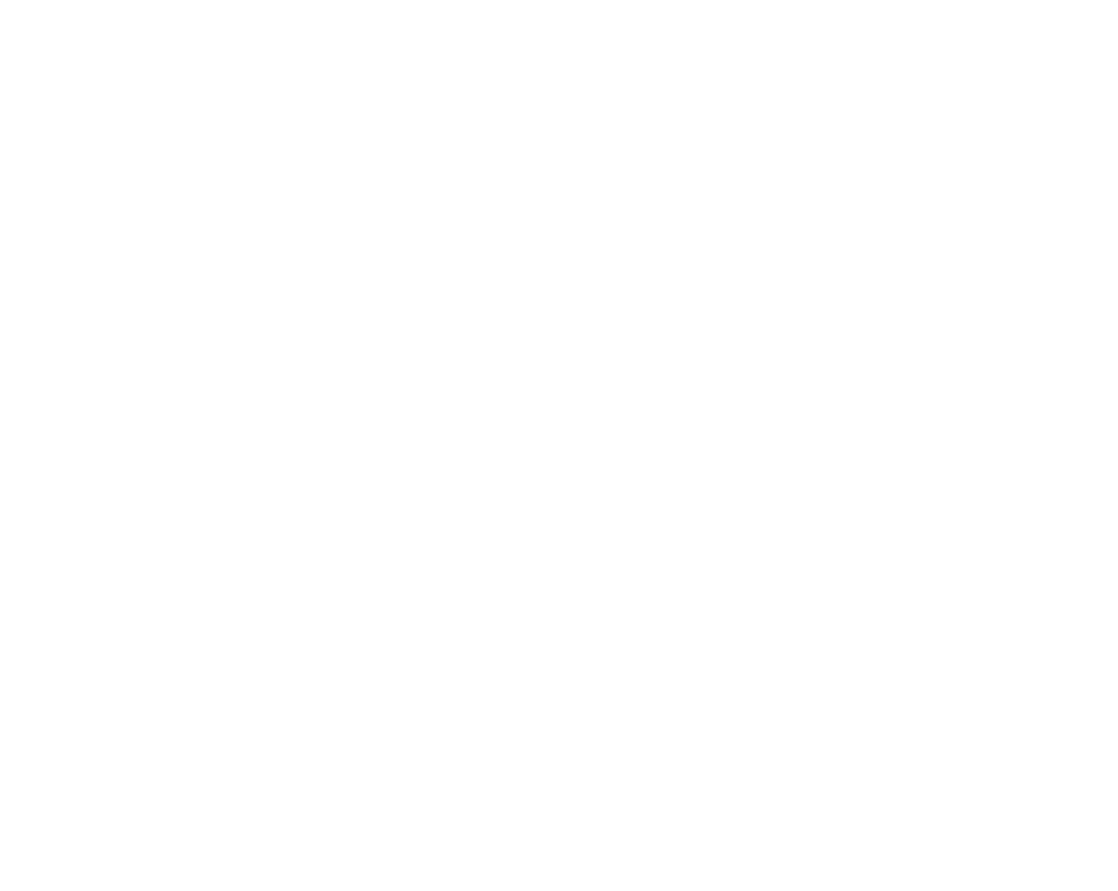 CarPass Icon